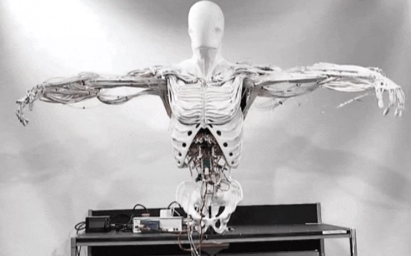 最新AI工具消息:Clone Robotics 展示人造肌肉機械人 Torso，開啟仿生機器人新時代