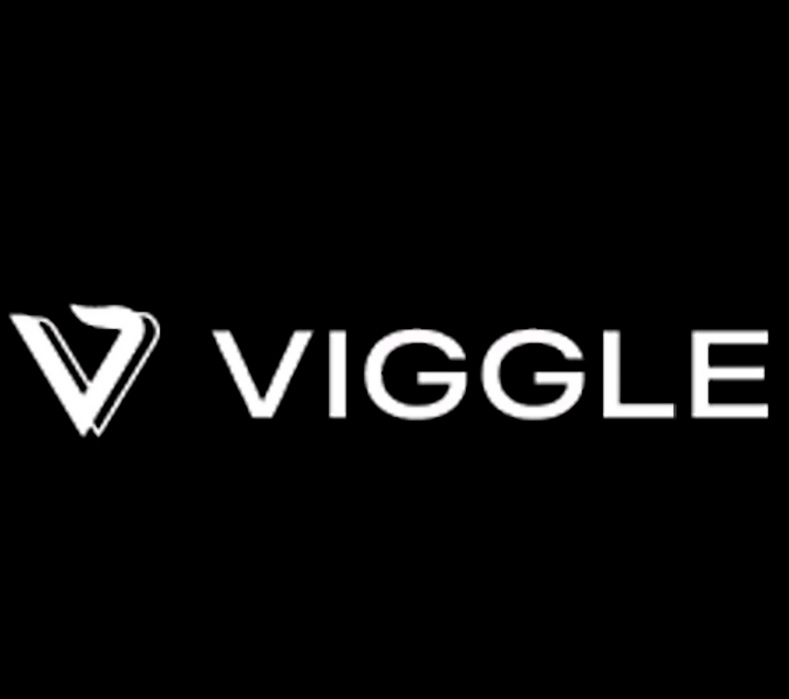 最新AI教學課程:Viggle AI 跳舞動畫速成班：讓你的角色舞動起來