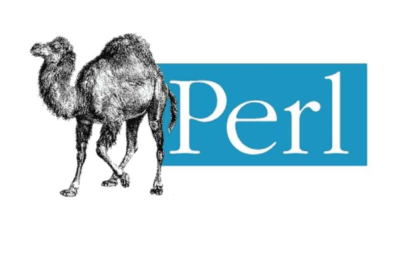 教育業AI工具推介推薦:AI Perl Programming language Teacher